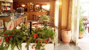 A hotel lobby with a bar area, seating, and potted plants. - Hotel Haway (Cattolica)