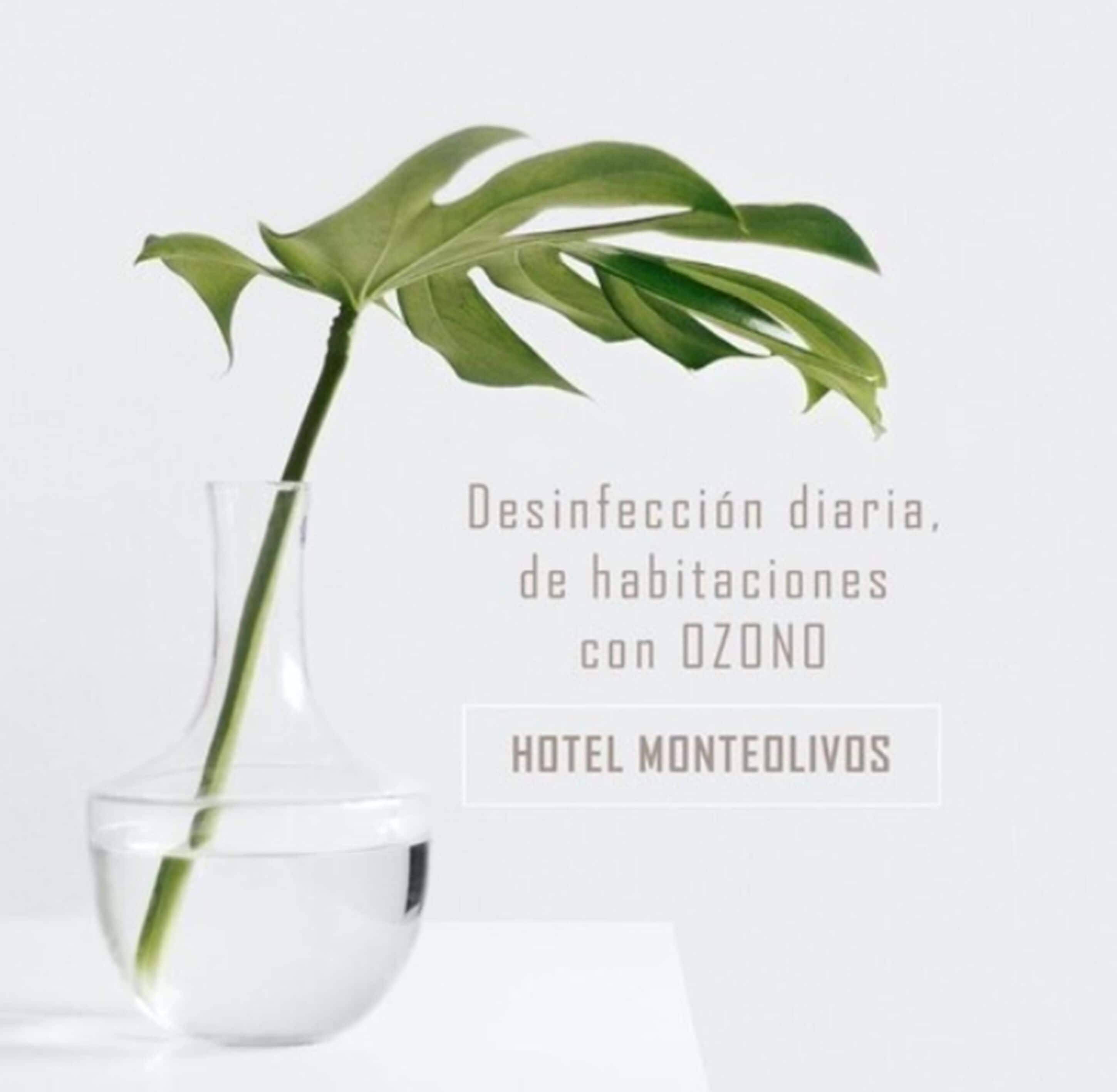 Foto - AACR Hotel Monteolivos