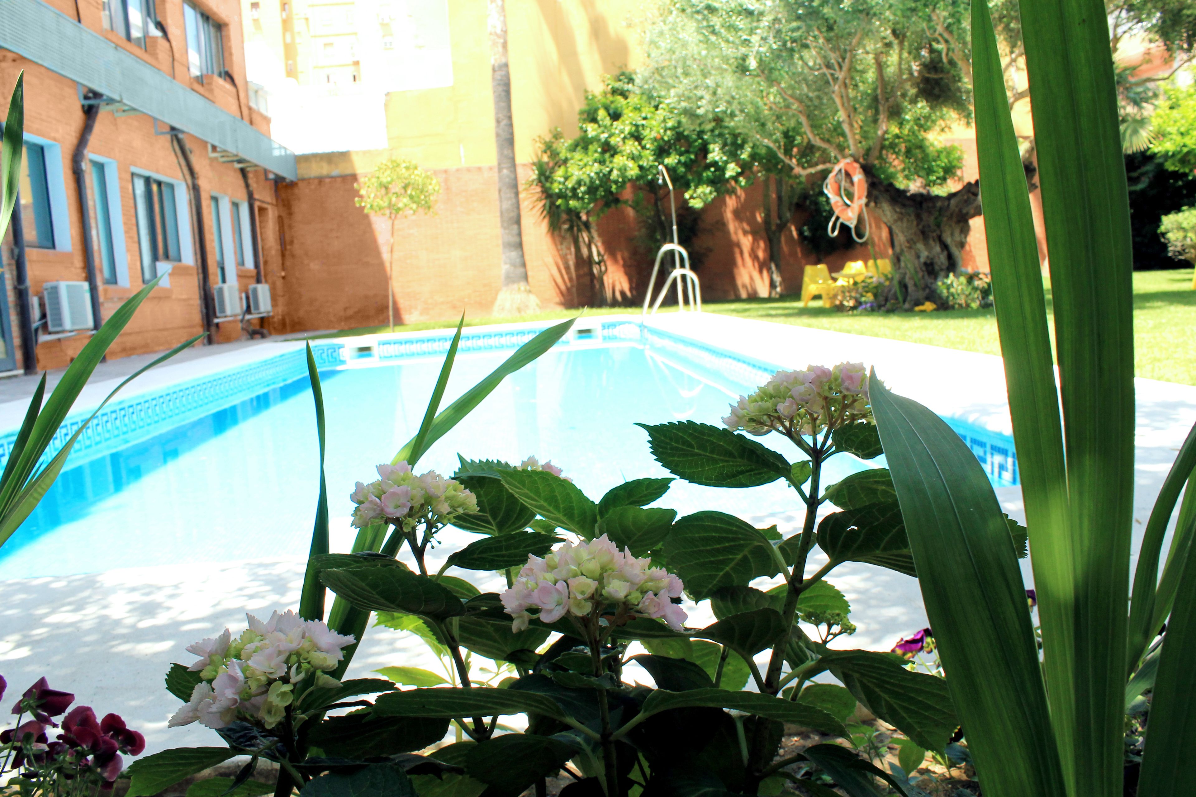 Una piscina rodeada de follaje y un edificio de ladrillo con equipos de aire acondicionado.