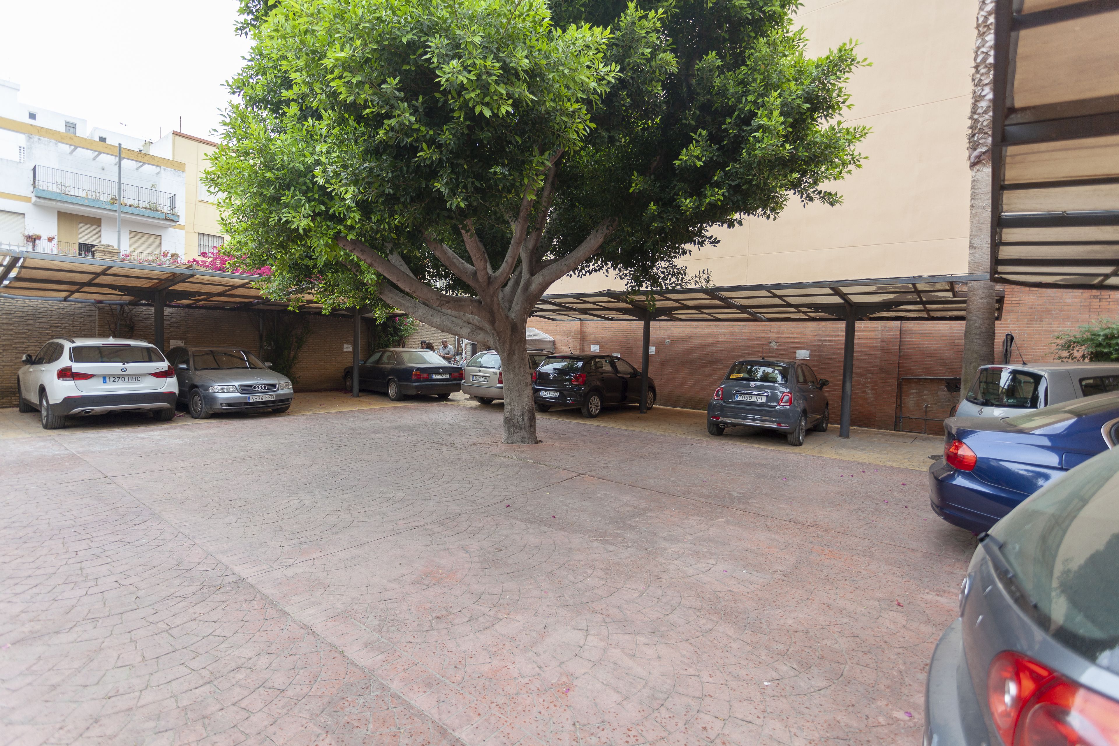 Foto - AACR Hotel Monteolivos