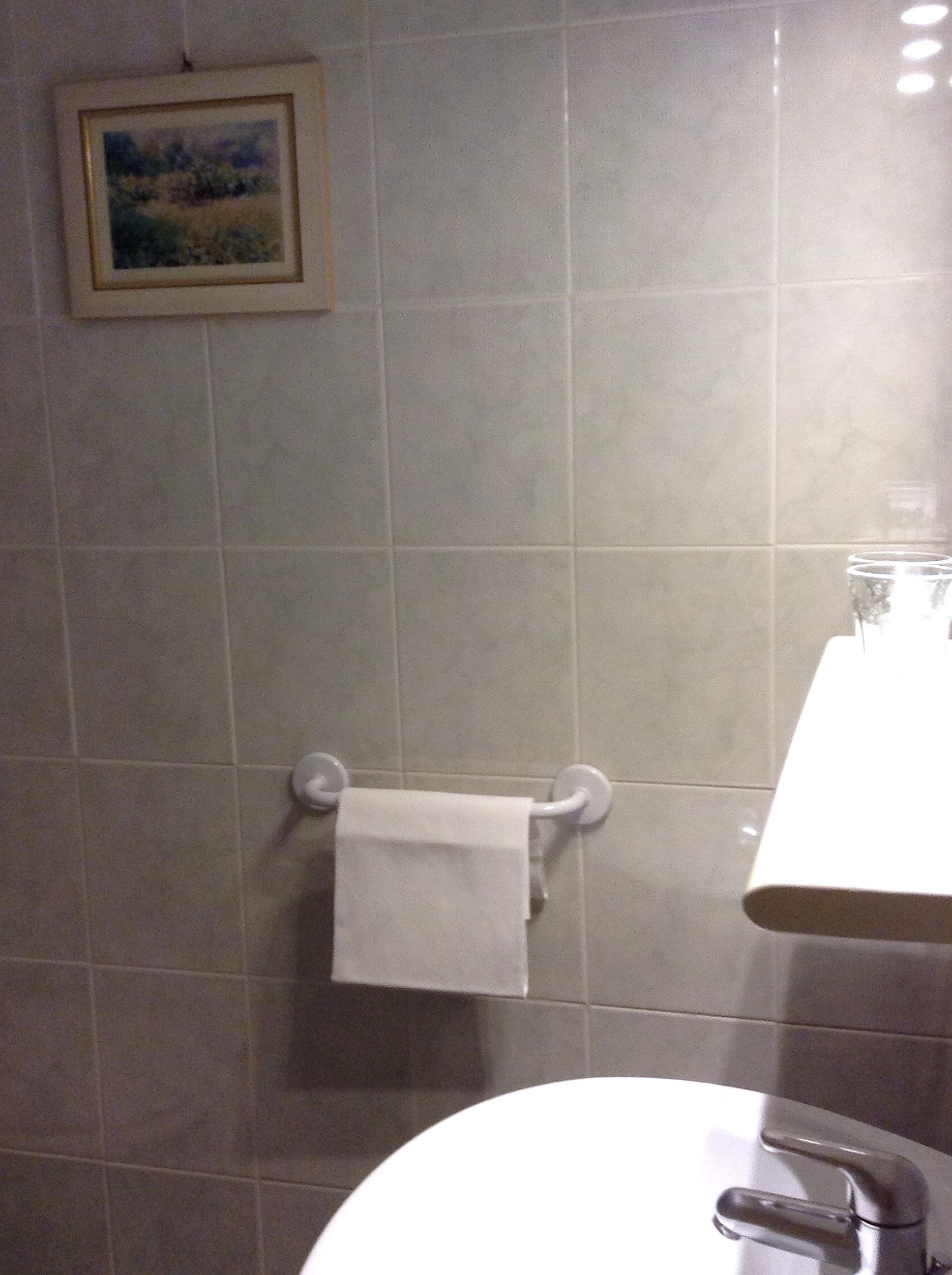 standard room | bathroom | shower, hair dryer, towels