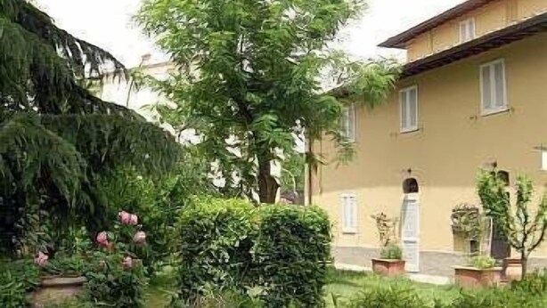 Un patio con un árbol grande, un edificio de fachada amarilla y plantas en macetas.