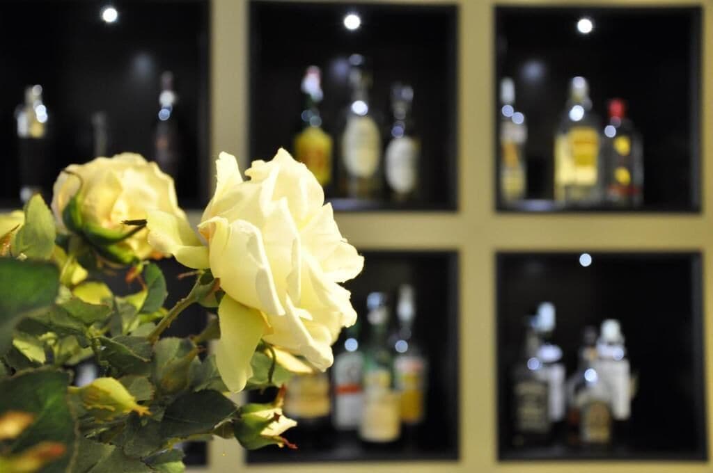 A white rose in a vase with a blurred background of shelves containing bottles.