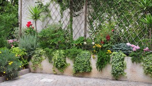 A garden with various plants and flowers along a wall. - Riviera Blu (Pisa)
