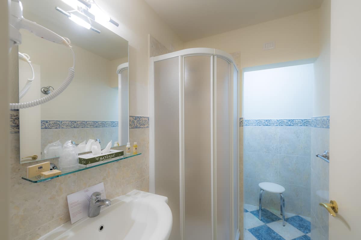 superior double room | bathroom | shower, free toiletries, hair dryer, bidet