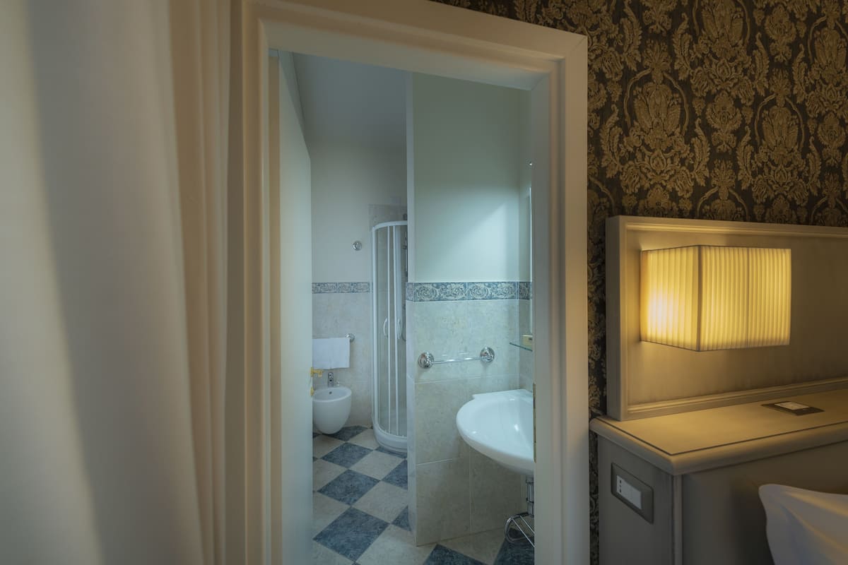 deluxe double room | bathroom | shower, free toiletries, hair dryer, bidet