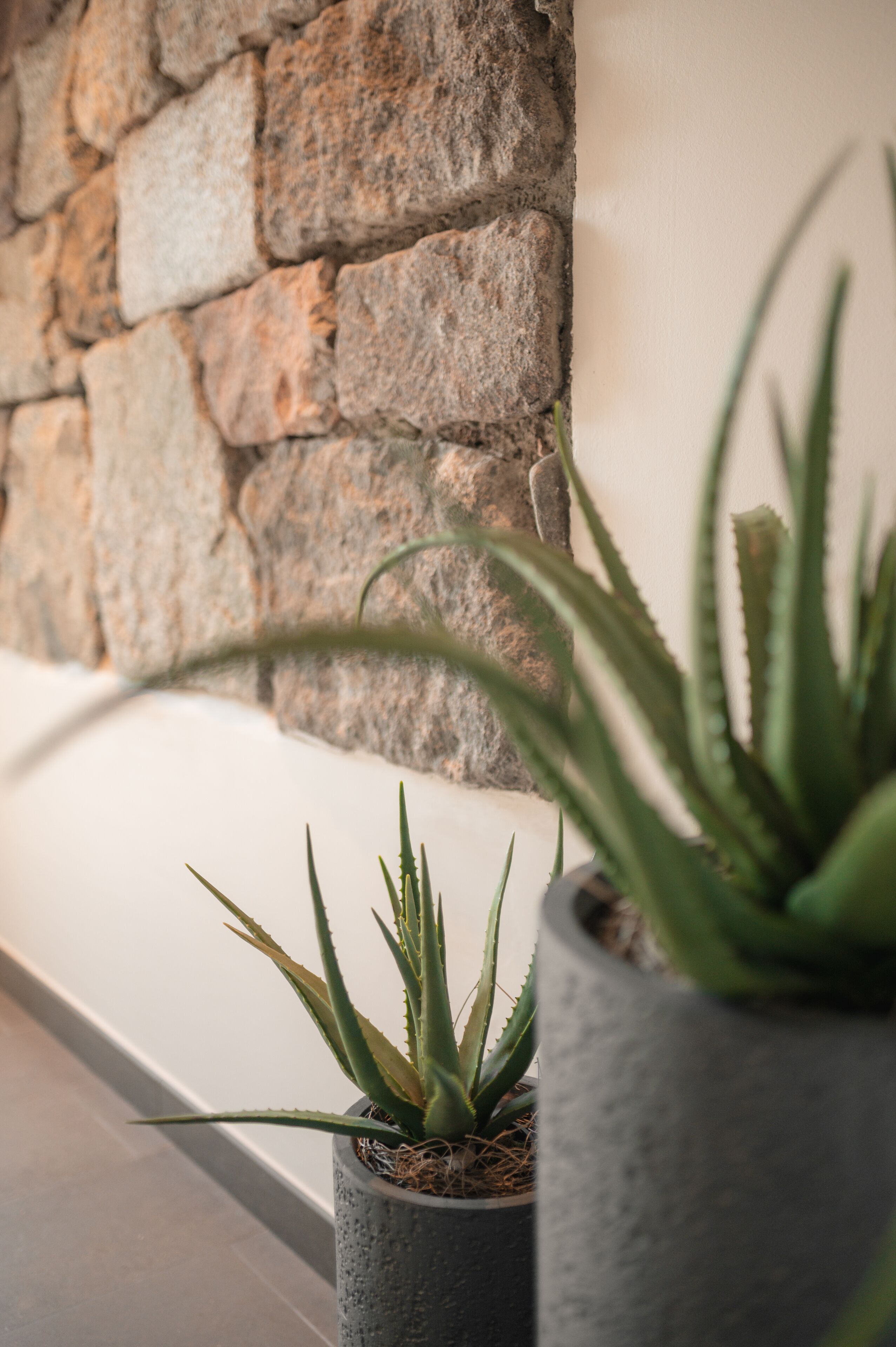 A stone wall and two potted plants.