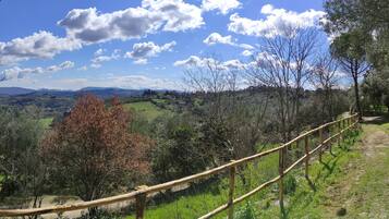 Ein malerischer Blick auf eine hügelige Landschaft mit einem Holzzaun und blauem Himmel.
