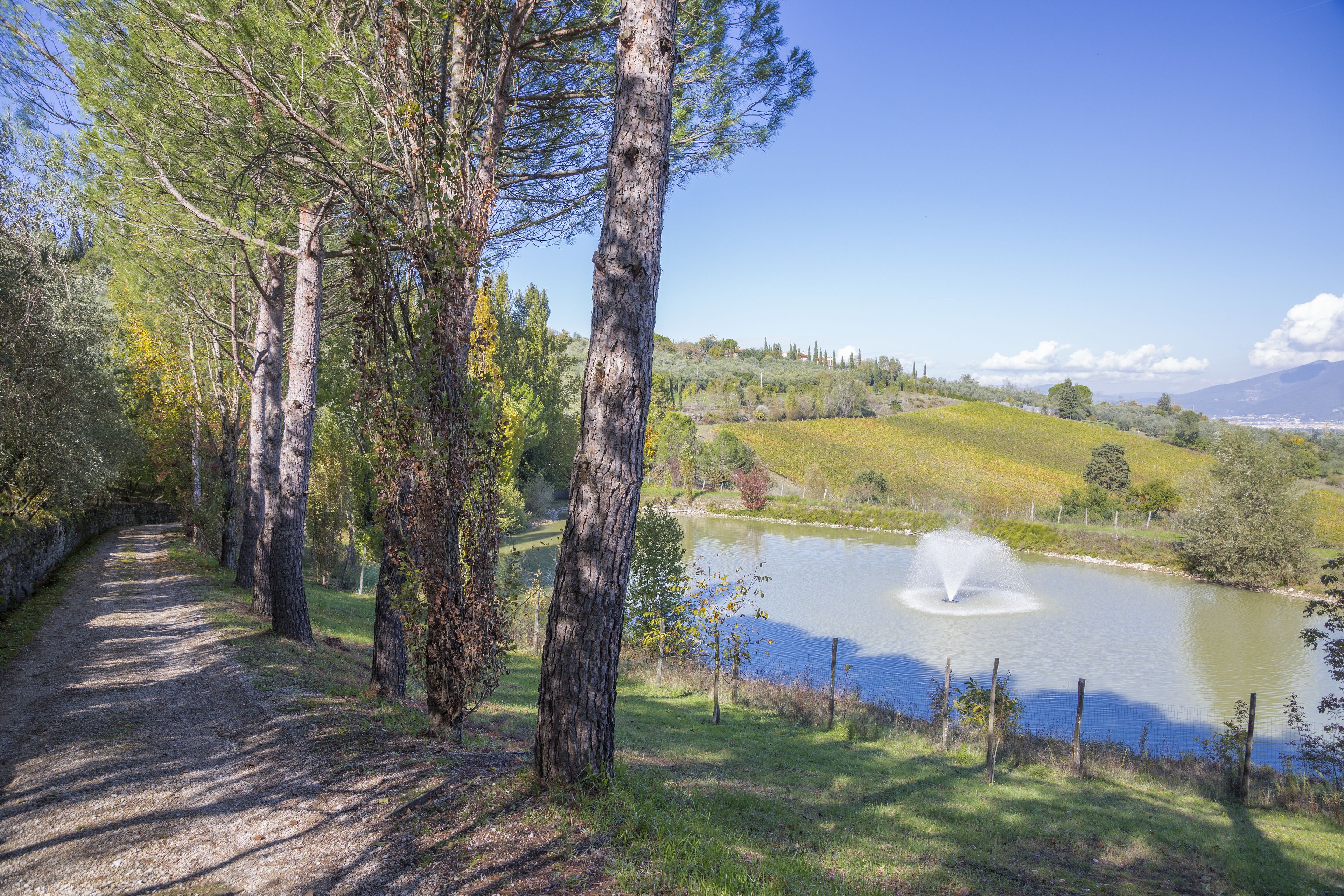 A gravel path flanked by trees leading to a pond with a fountain, surrounded by grassy fields and distant hills.