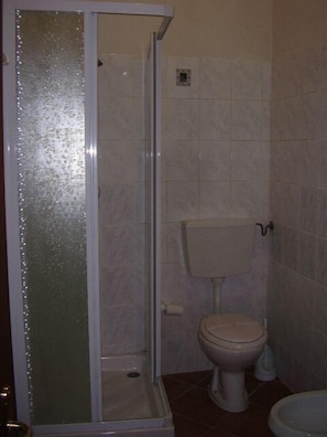 A bathroom with a shower enclosure, toilet, and a small sink.