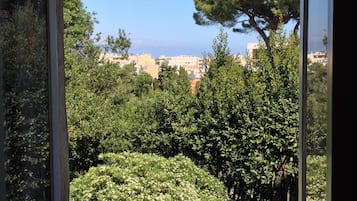 Vista desde la habitación