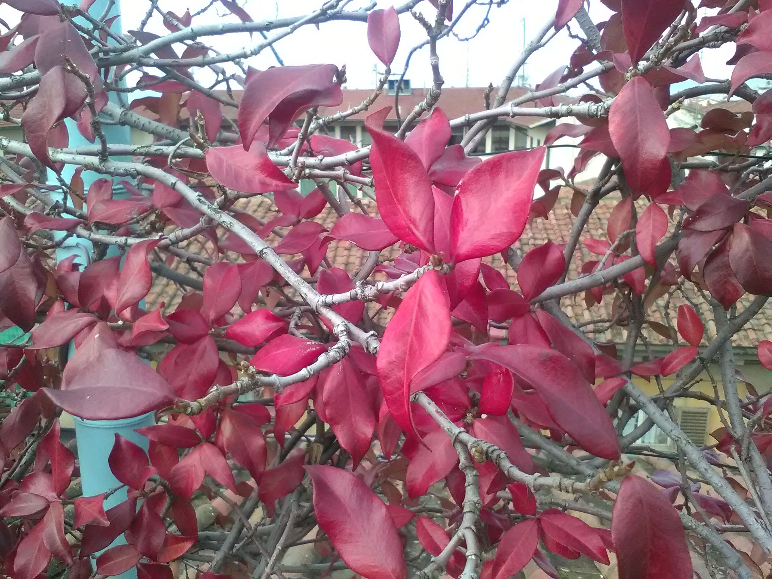 Photo - Antica Dimora Johlea