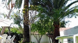 A grassy outdoor area with a white table and chairs, palm trees, and a building in the background. - Hotel Pierre Loti (Antibes)