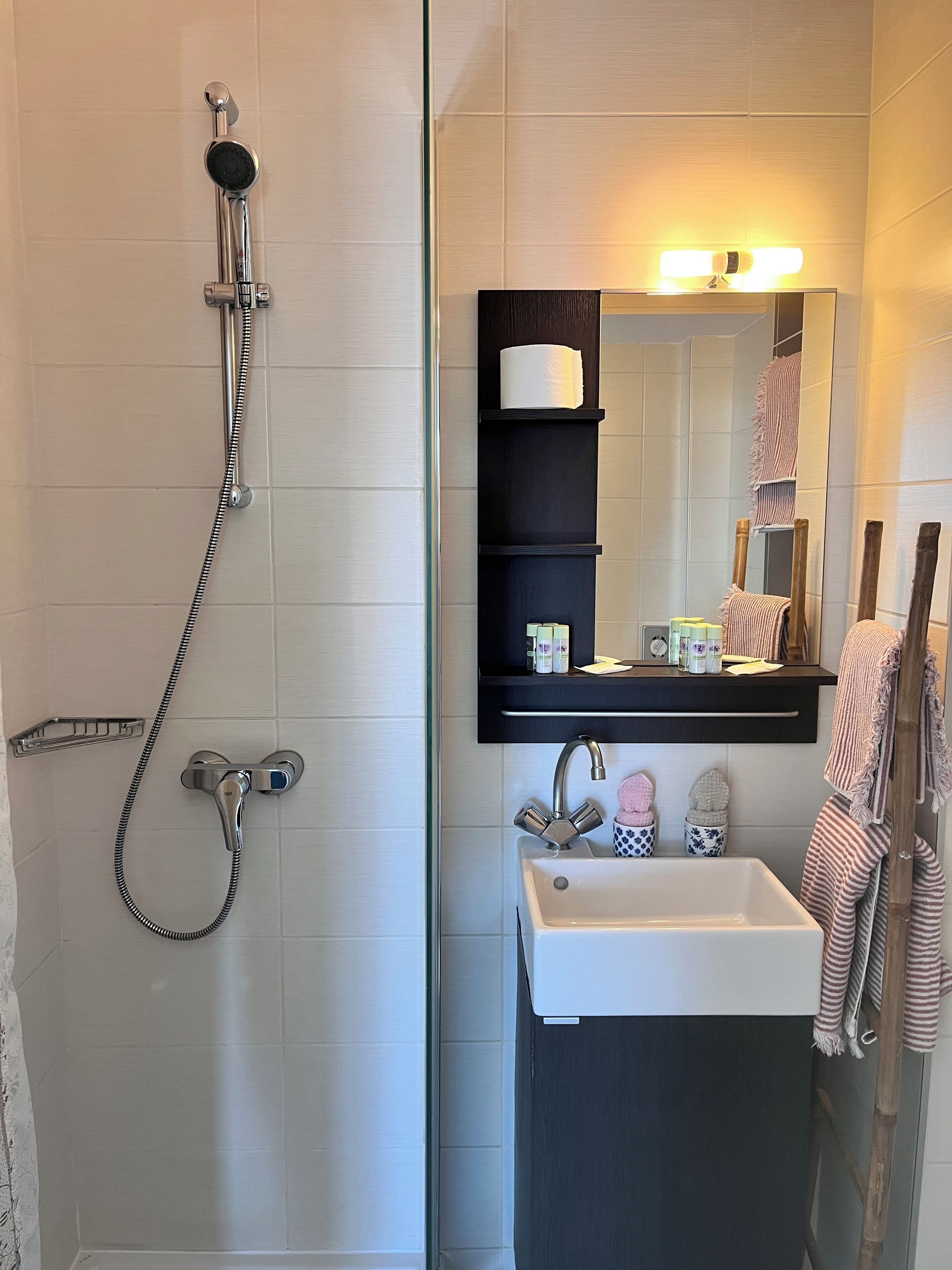 twin room, sea view, queen size bed or 2 twin beds | bathroom | shower, free toiletries, hair dryer, towels