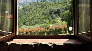 Une fenêtre donnant sur un paysage verdoyant et luxuriant, un ciel dégagé et des montagnes lointaines.