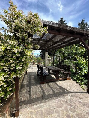 Terrace/patio - Fattoria Sant'Appiano (Barberino Tavarnelle)