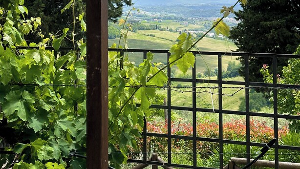 Une pergola offrant une vue sur un paysage rural, avec des champs verdoyants et des collines lointaines.