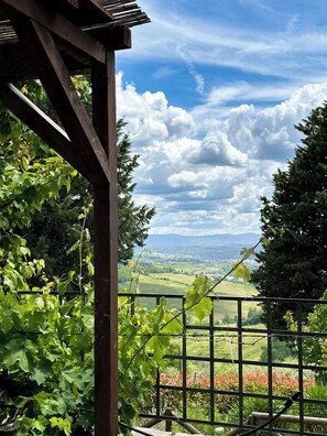A pergola with a view of a countryside landscape, including green fields and distant hills. - Fattoria Sant'Appiano (Barberino Tavarnelle)