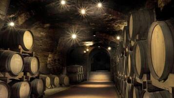 A dimly lit underground wine cellar with rows of wooden barrels and a central aisle.