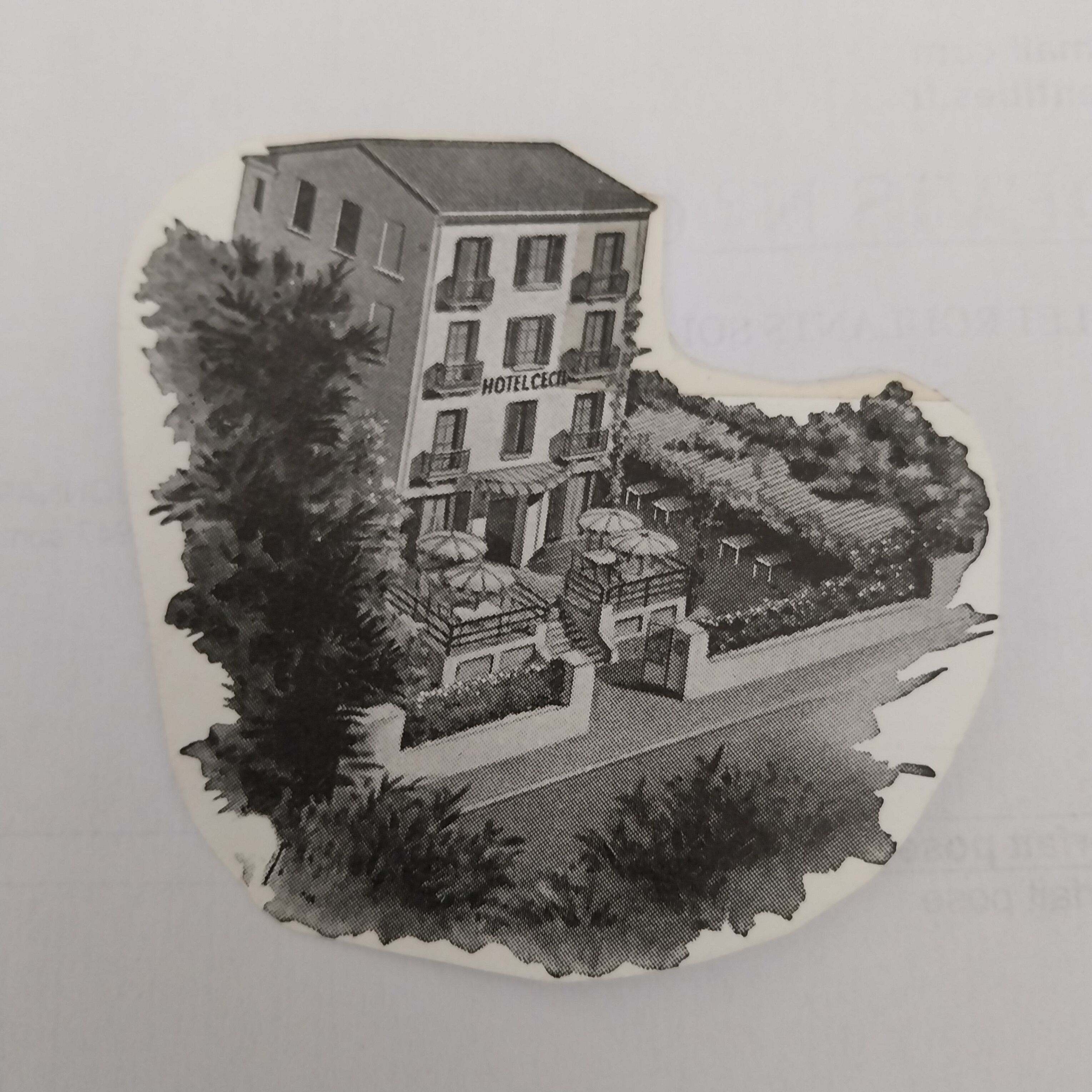 Facciata della struttura