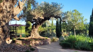 A garden with a large tree, a gazebo, and a pathway. - Hôtel Cecil (Antibes)