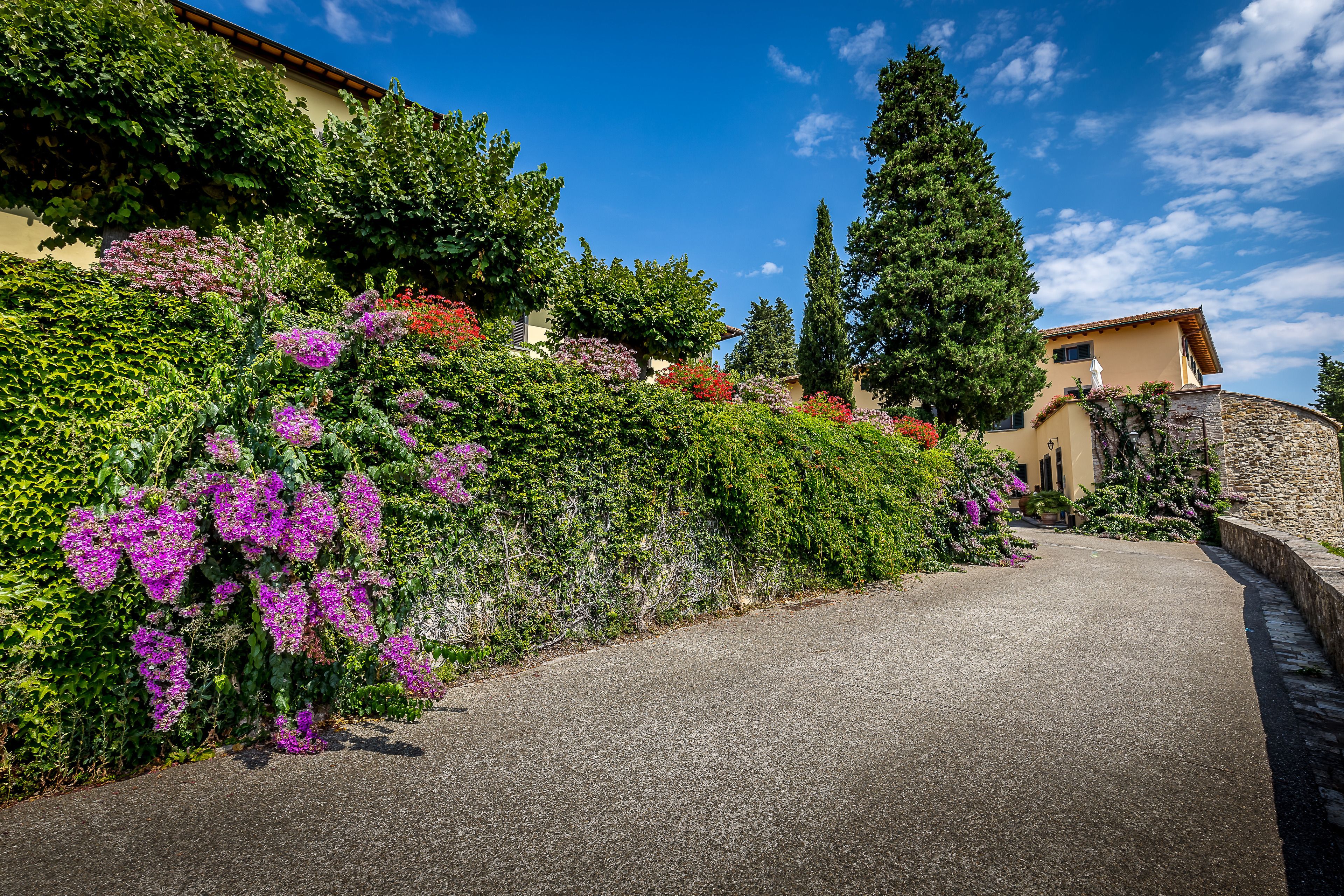 A paved pathway leading to a building with a stone wall and lush greenery.
