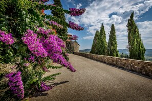 Vue depuis l’hébergement