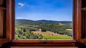 Una ventana con marco de madera que ofrece vistas a un paisaje verde, con árboles y colinas.