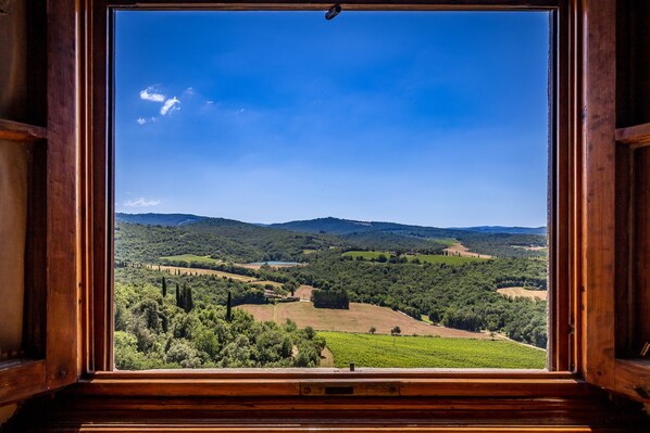 Une fenêtre à cadre en bois donnant sur un paysage verdoyant, avec des arbres et des collines.