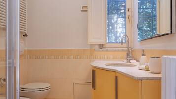 Un baño con inodoro, lavabo y zona de ducha.