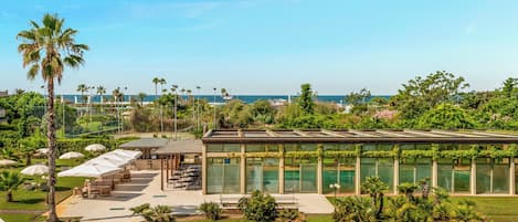 Indoor pool, open 10:00 AM to 8:00 PM, pool umbrellas, pool loungers
