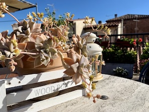 A wooden box labeled "WOOD BOX" with succulent plants on a table.