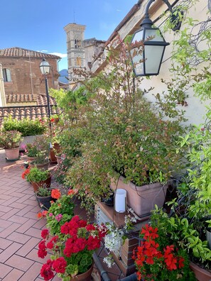 منطقة الاستقبال