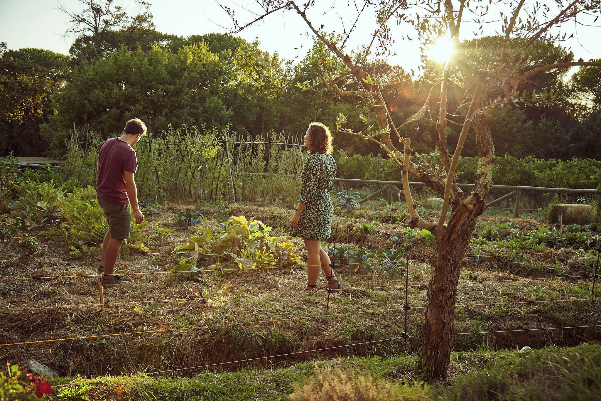 Twee personen wandelen in een tuin met een boom en planten.