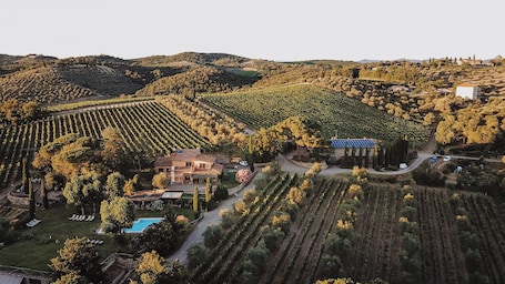 Vista aerea. Fattoria di Corsignano