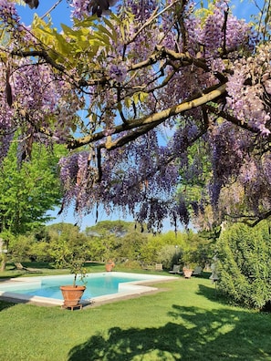 Seasonal outdoor pool, pool umbrellas, pool loungers - Fattoria di Corsignano (Castelnuovo Berardenga)