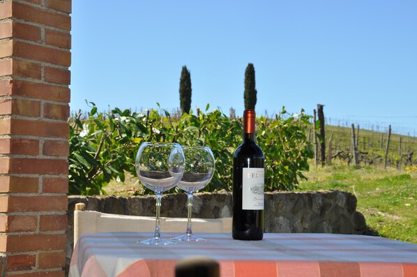 A table with two wine glasses and a bottle of Selvo wine.
