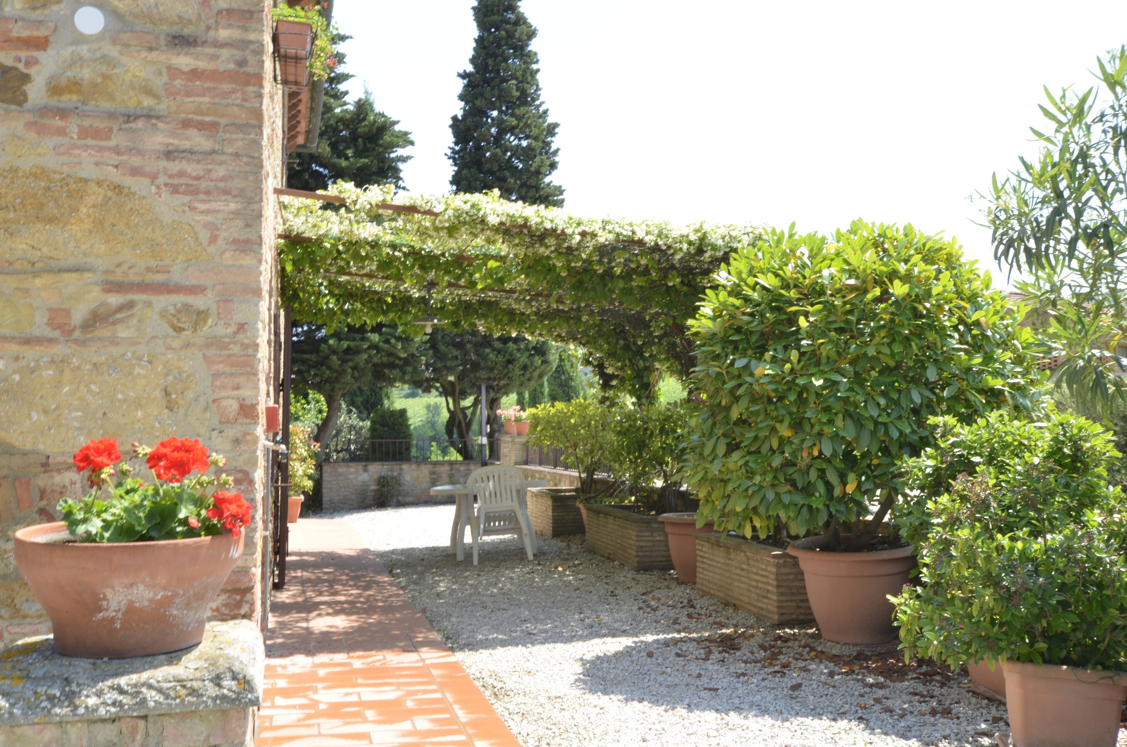 Photo - Il Casale Del Cotone