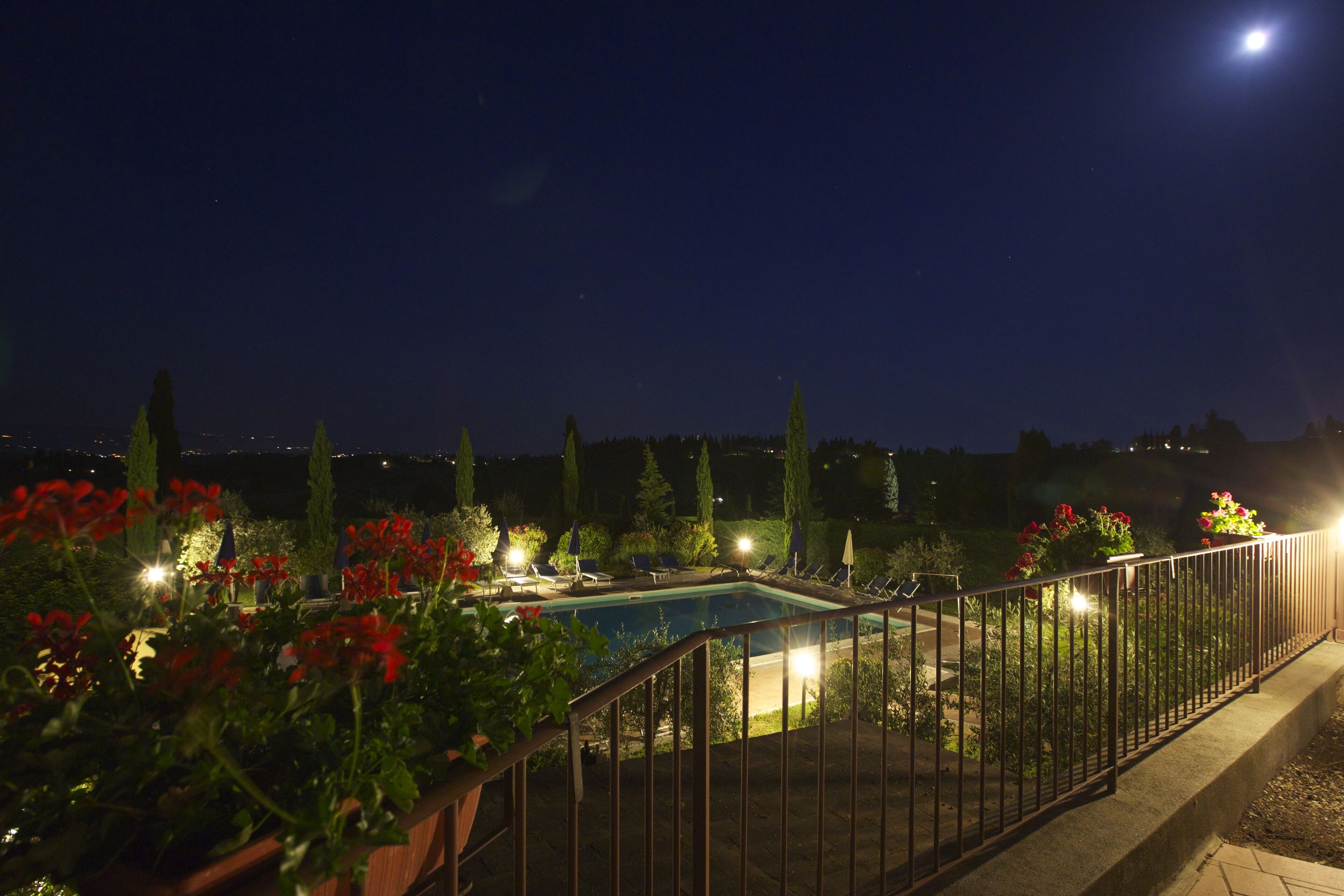 Vista nocturna de una piscina con valla, rodeada de plantas y flores en macetas.