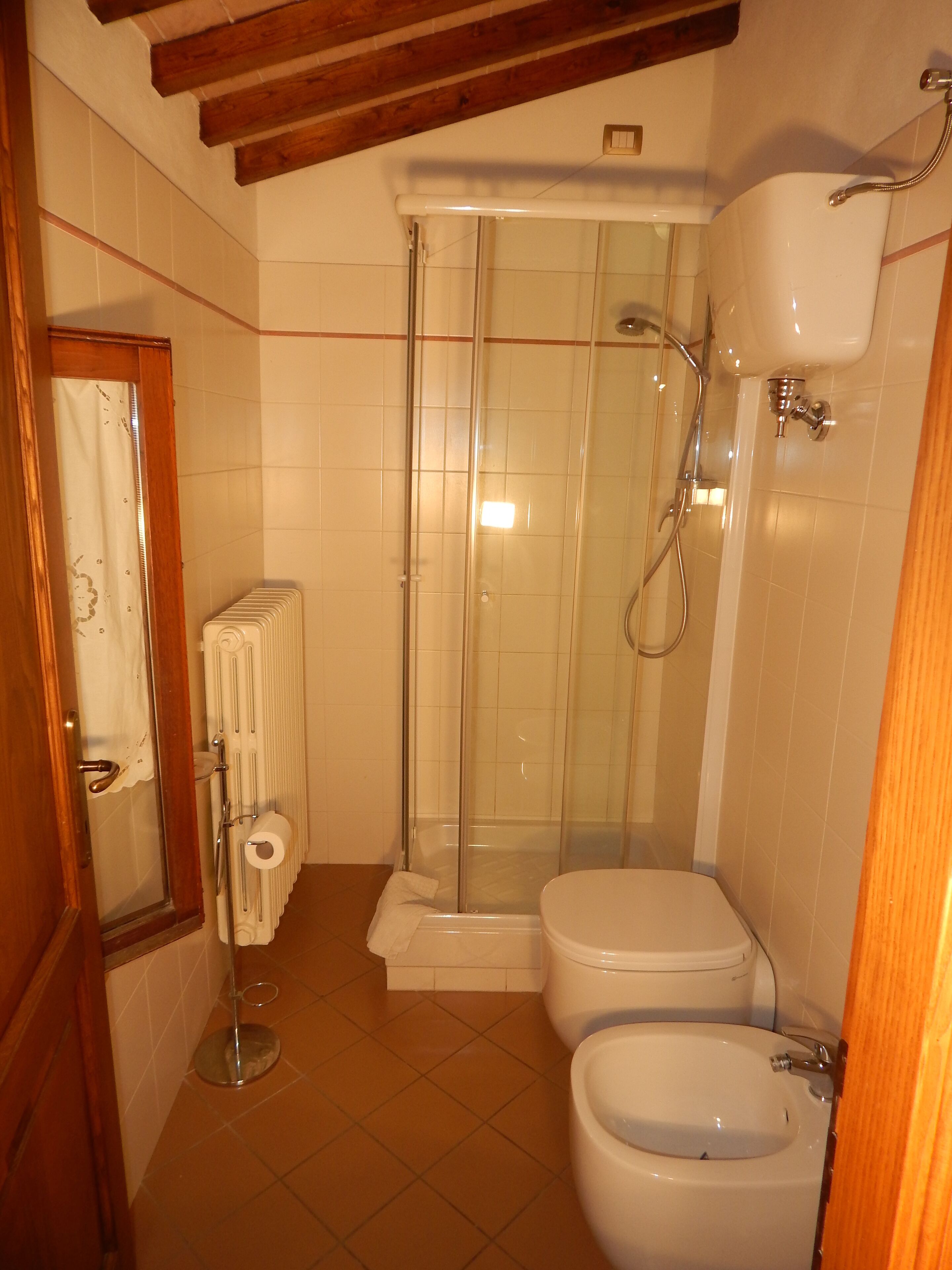 A bathroom with a shower, toilet, bidet, and a radiator.