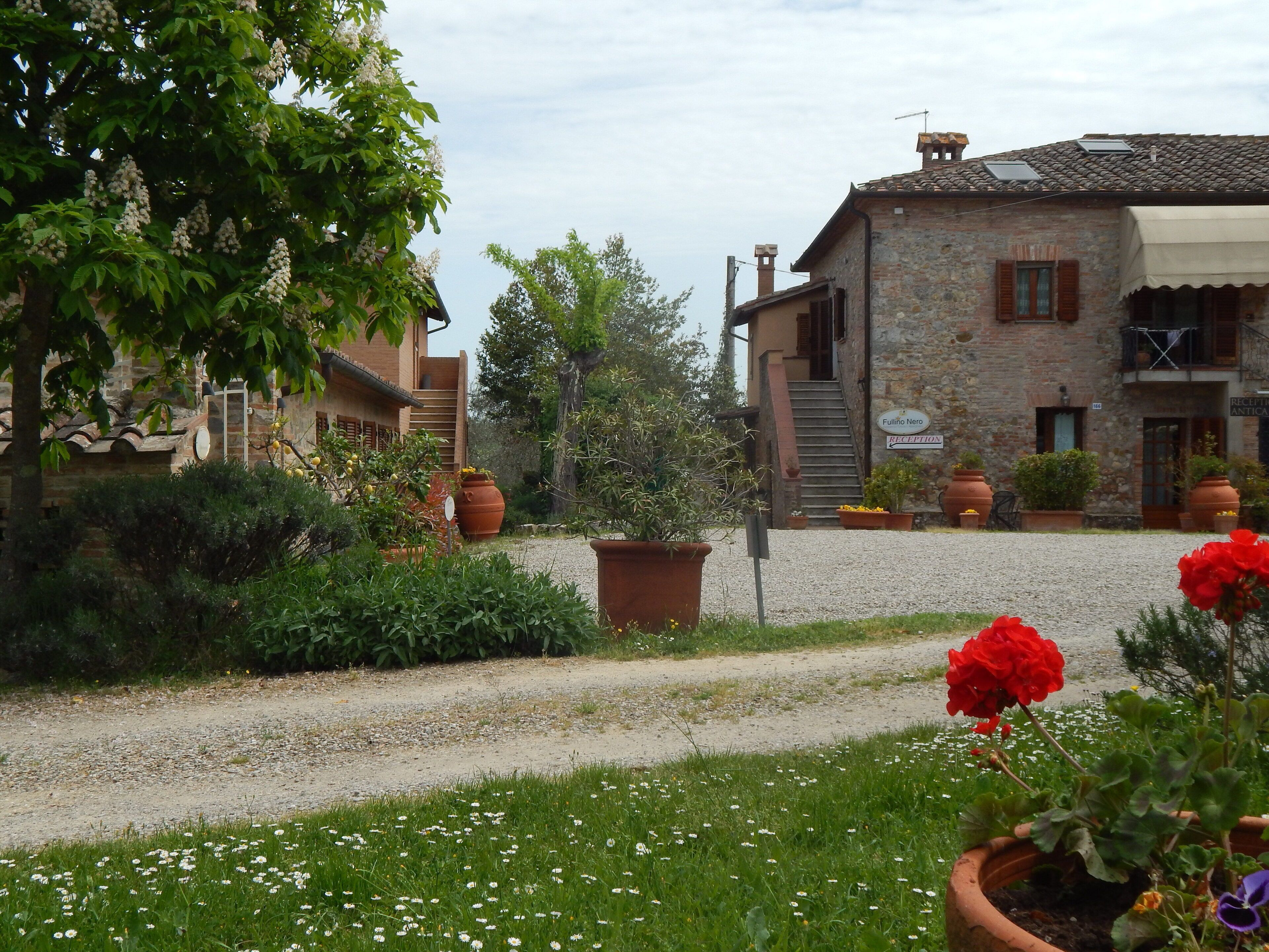 A rustic stone building with a reception sign, surrounded by a gravel path and lush greenery.