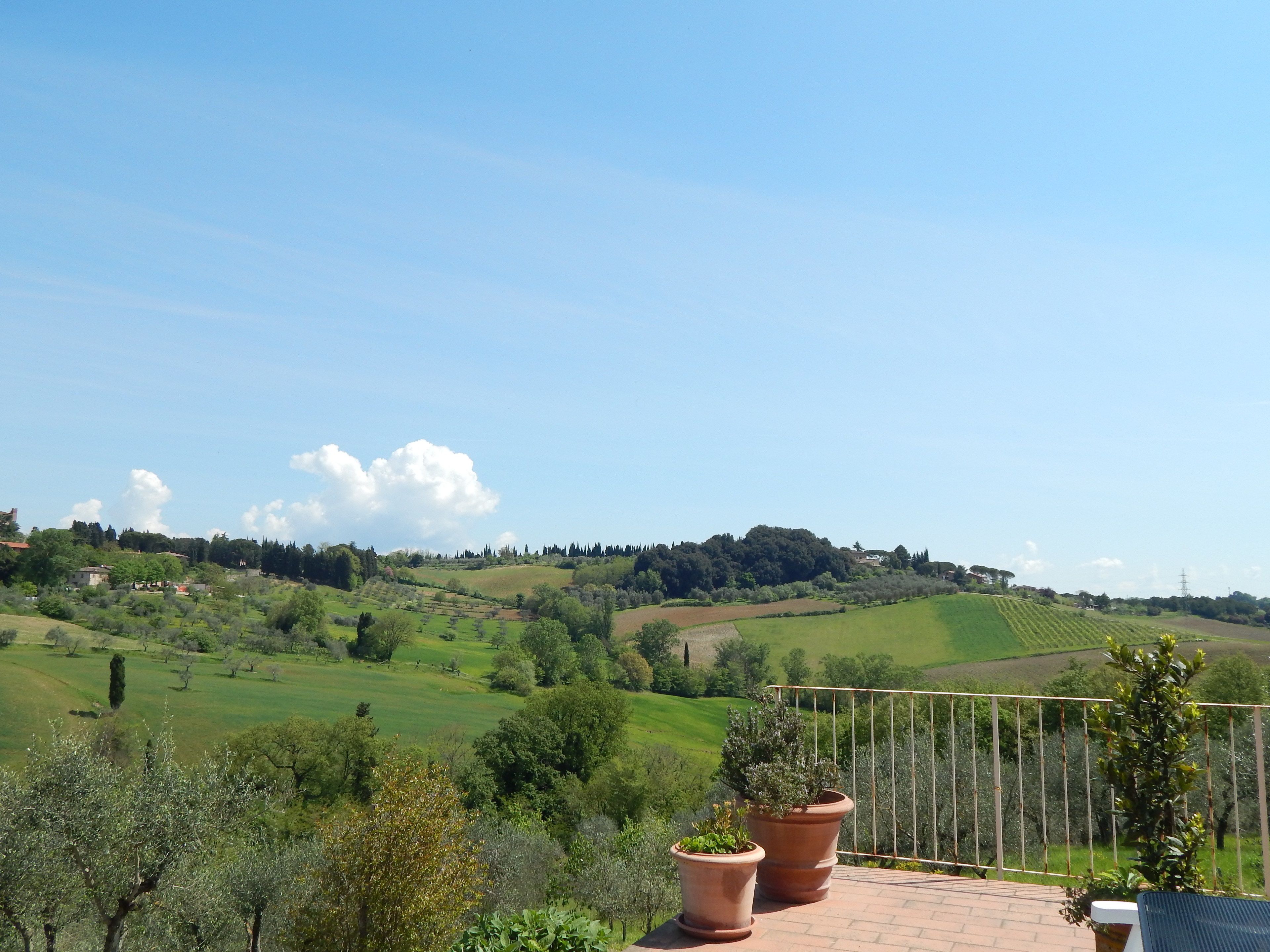 A terrace with potted plants, overlooking a green landscape with rolling hills and a clear sky.