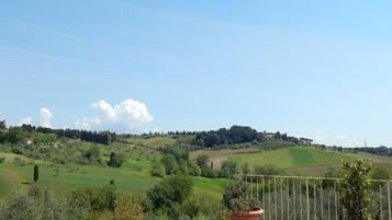 A terrace with potted plants, overlooking a green landscape with rolling hills and a clear sky.