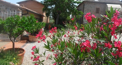 Fullino Nero