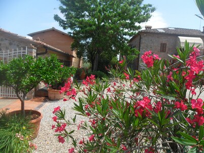 Fullino Nero
