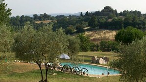 A swimming pool with a rustic fence, surrounded by olive trees and a grassy landscape. - La Grotta di Montecchino (Siena)