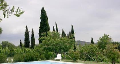 Il Vicario