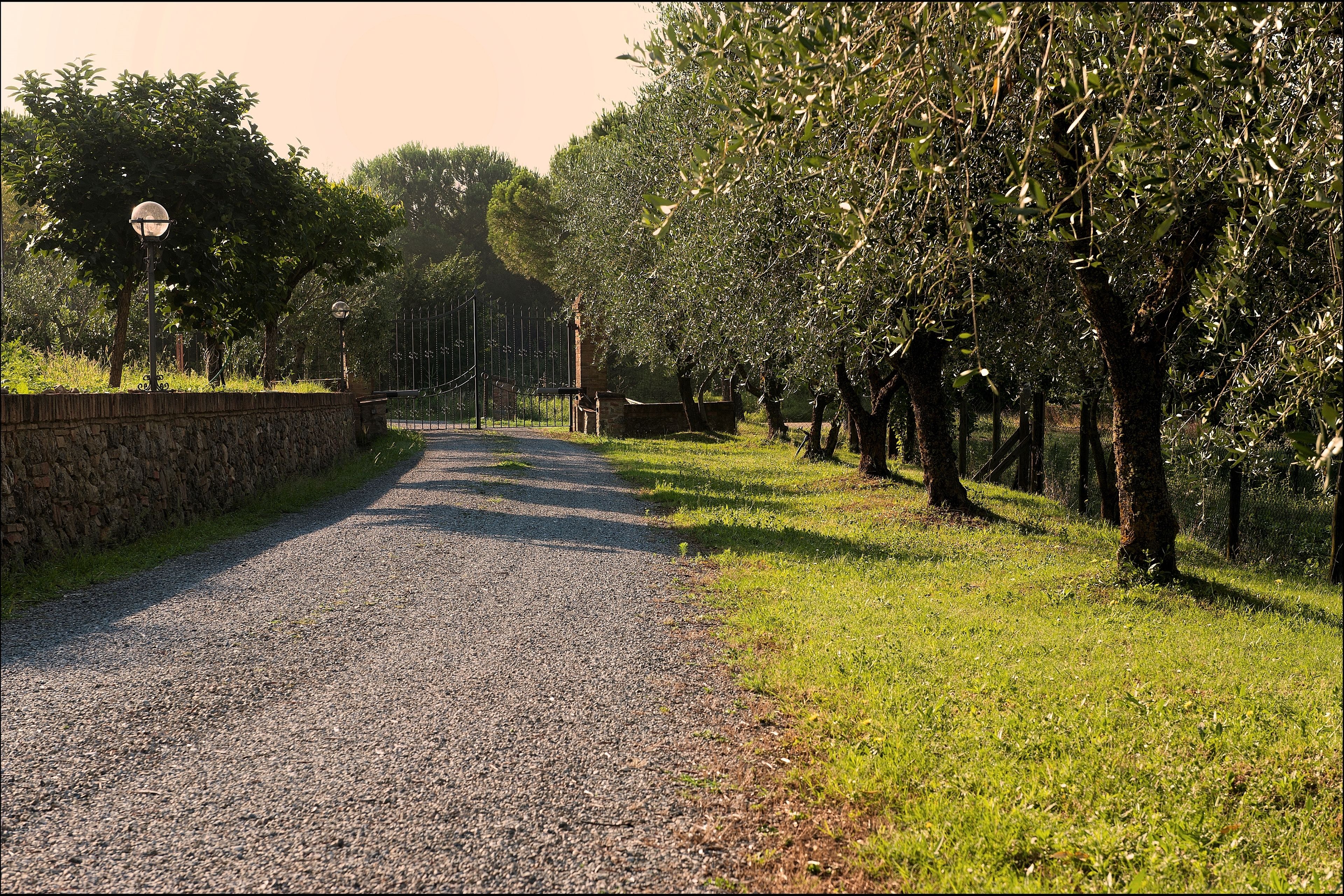 Photo - B&B Casale Virgili