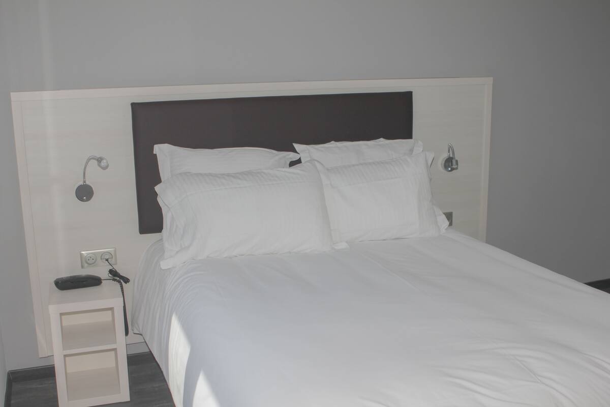 Standard Double Room | Premium bedding, down comforters, in-room safe, desk