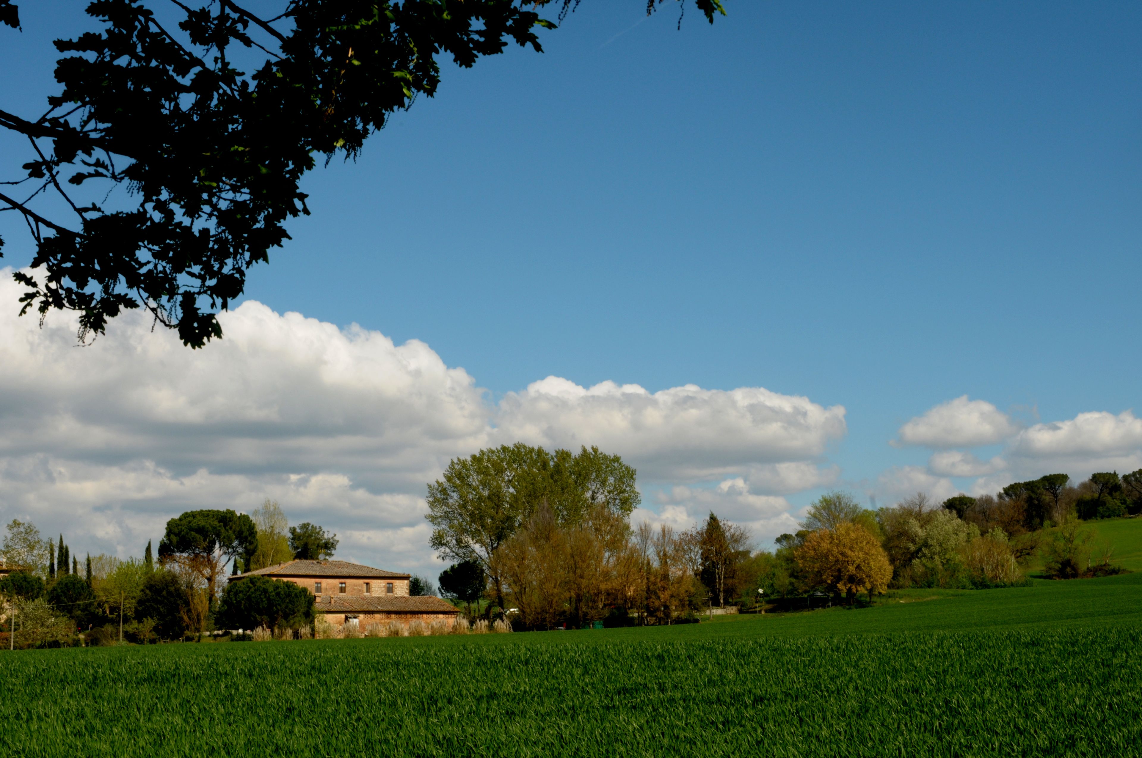 Paesaggio rurale con un ampio campo, un edificio in pietra e diversi alberi.